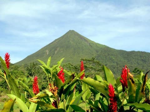 Tropical Costa Rica, 7 Days