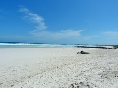 4 jours sur la faune et les merveilles des Galapagos, guide francophone