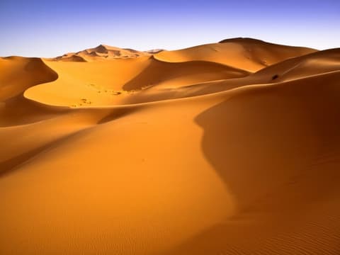 Sahara et Haut Atlas, visite privée