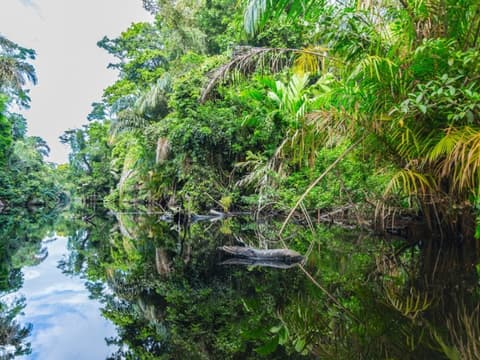 Superahorro | Descubriendo Costa Rica, 14 días