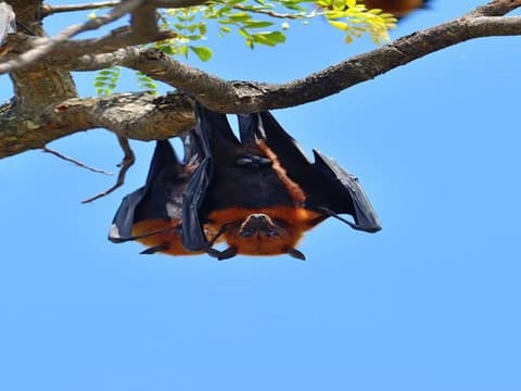 Connected to the Wild, Private Tour