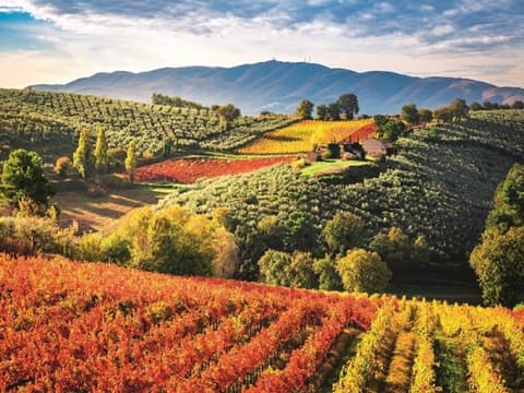 Hilltowns of Umbria, Self-Drive