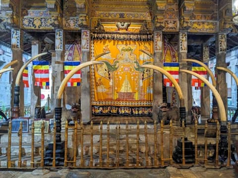 Discover the Essence of Luxury Sri Lanka