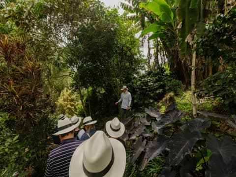 Les mille couleurs de la Colombie en 12 jours – Bogotá, région du café, Medellín et Cartagena, avec guide francophone