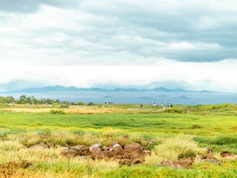 4-Day Wildlife & Wonders of Galapagos