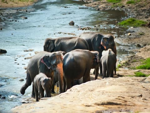 Escape to Sri Lanka’s East Coast