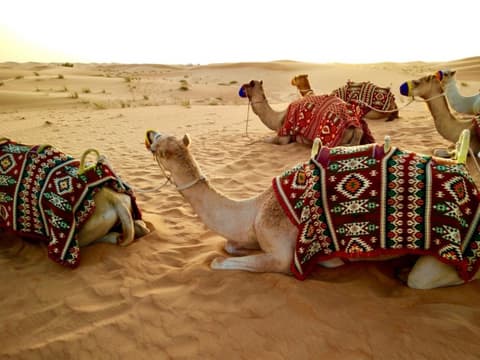 Beyond - Die Exotischen Traditionen Und Die Üppige Modernität Von Dubai