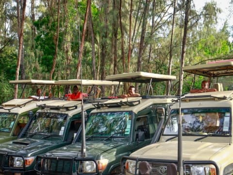 Kenya Eco Safari Hors De Sentiers Battus