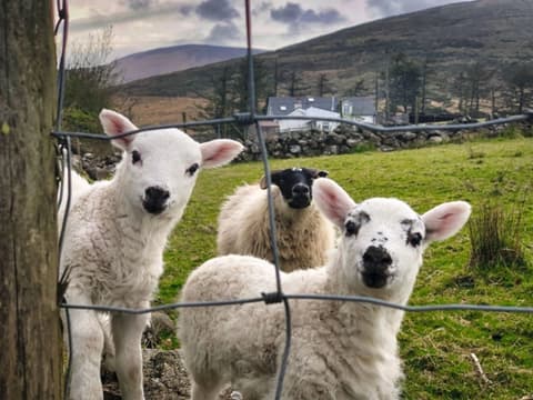 Départs Garantis - Irlande, le Grand Tour