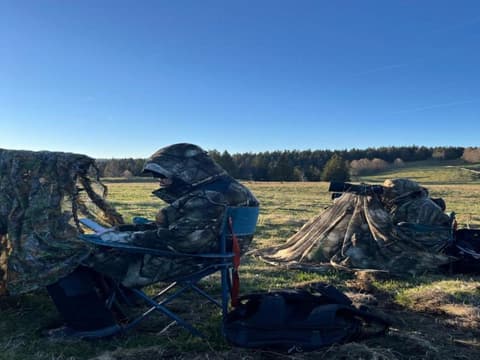 Découvrez l'art de la photo animalière dans le Jura