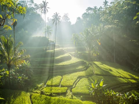 Ubud Art & Handicrafts Tour