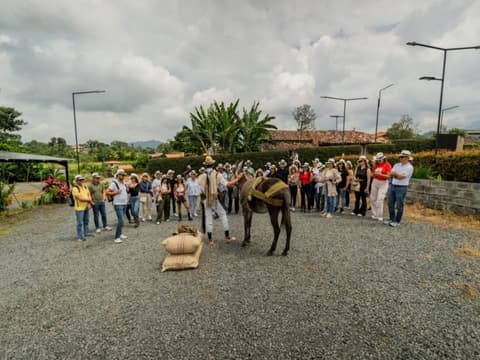 Les mille couleurs de la Colombie en 12 jours – Bogotá, région du café, Medellín et Cartagena, avec guide francophone