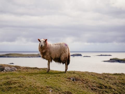 Départs Garantis - Irlande, La Belle Emeraude