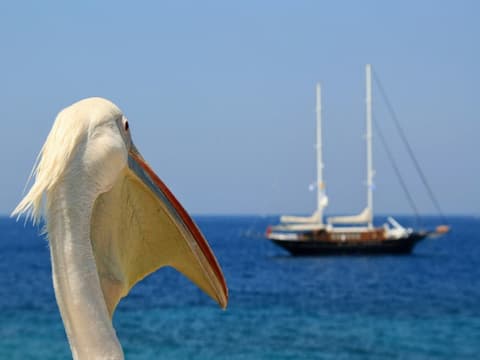 Combiné Santorin Ios Amorgos Naxos Mykonos en 3*
