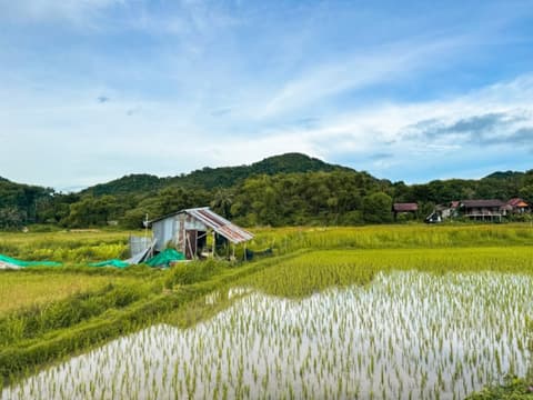 Marina Gallery Resort Kacha + Blue Bay Koh Yao Yai + Khaolak Laguna 10 Nuits