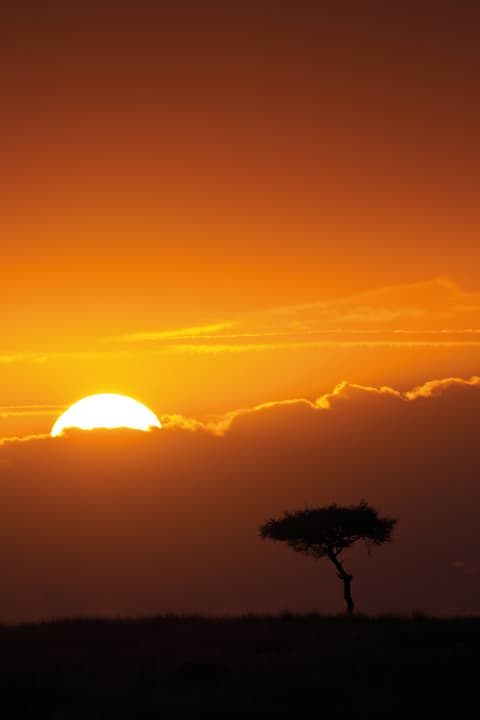 Twende Extra