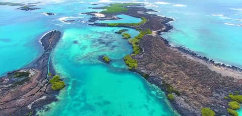 Galapagos Ideal