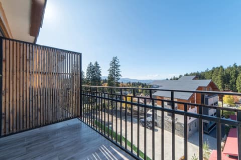 Grand Noel Bakuriani