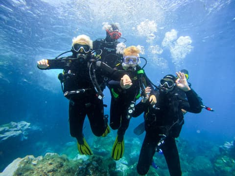 260069 - Porto Santo Especial Mergulho | Lug. Garantidos TAP | Lisboa