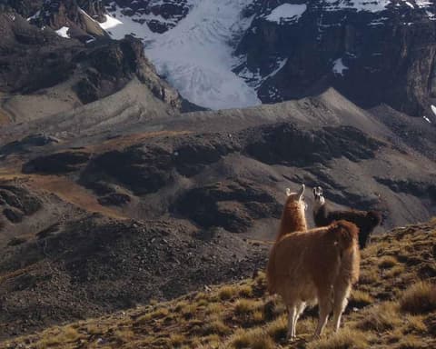 Cordillera Real: Desde los Andes hasta el Salar de Uyuni 