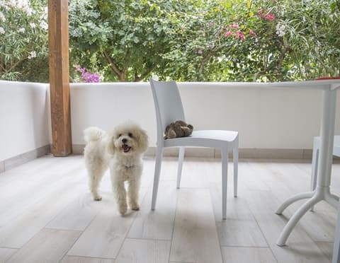 OLD104-Vascellero Club Resort Calabria - GATTINONI, Vascellero Club Resort - Terrace