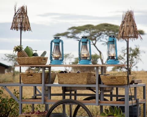 Olengoti Eco Safari Camp