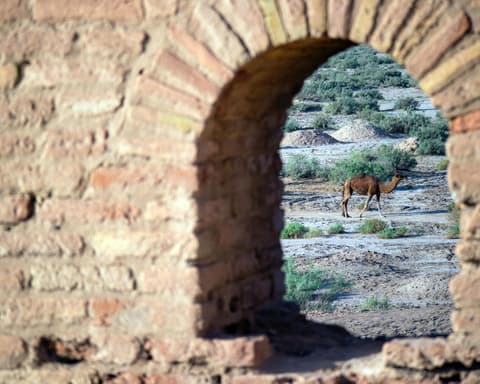 Dreams of Persia (2026) – foto 7