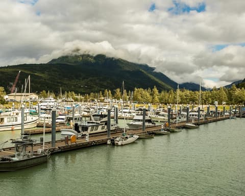 ALASKA - DINSEY MAGIC