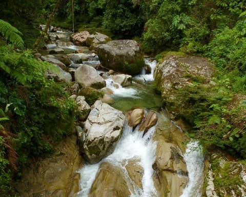 VICA - Ecuador al Completo