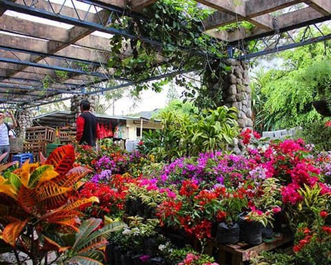 Fin de año en Panamá: Full Playa