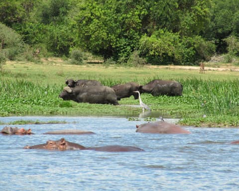 Colores de Uganda y Ruanda