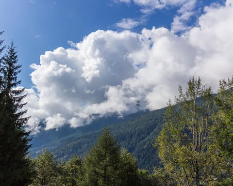 Estate 2026 Viaggio Soggiorno in Val di Pejo