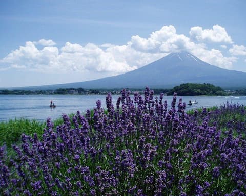Beauties of Japan (2026) – foto 3