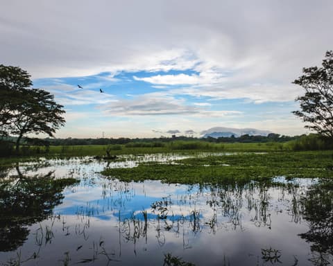 Ceylon Splendors Trail - Italian