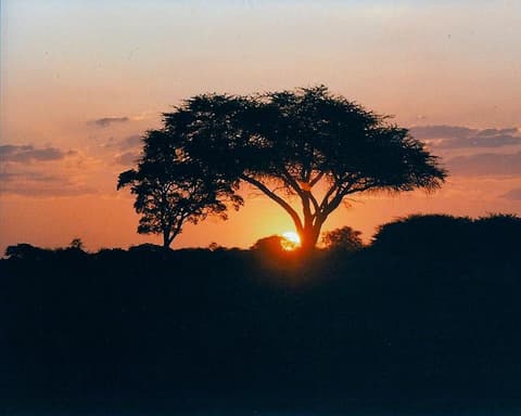 ROVOS RAIL, Victoria Falls (Pretoria- Cataratas Victoria)