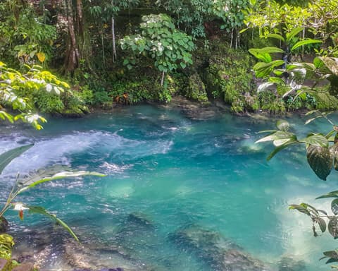 Tarapoto Encantado 04 Días - 03 Noches