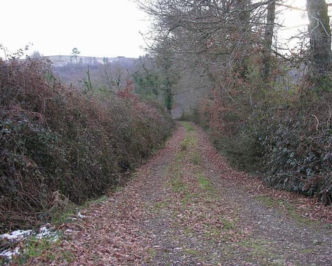 EL CAMINO DE SANTIAGO: CAMINO FRANCES 2026