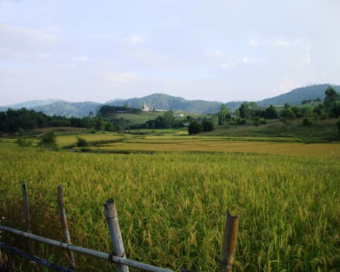 ENCANTOS DE LAOS 2026/2027
