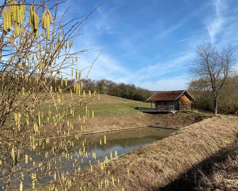 Alemania (2026) – foto 5