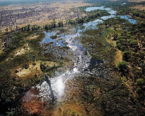 Luna de miel en Botsuana y Zimbabue