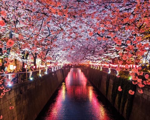 ESENCIAS DE JAPÓN: EL CAMINO DEL GUERRERO