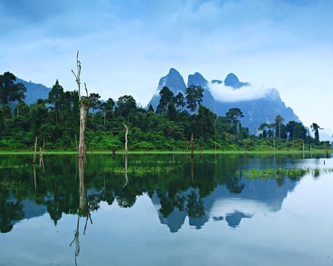 1 Night in Khao Sok national park from Surat Thani