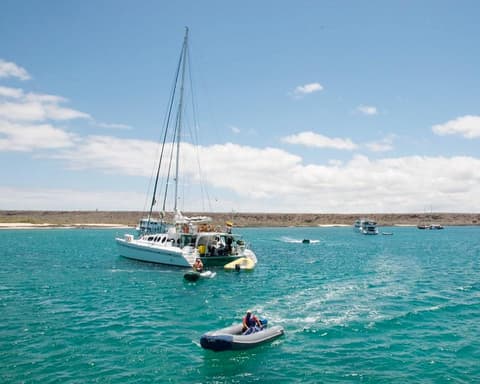 Galapagos Inter Islas Santa Cruz 1 Navegacione - 4 Días