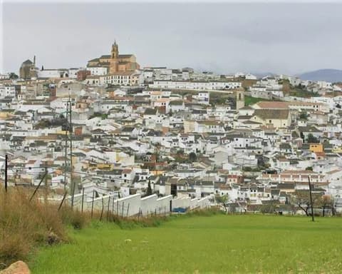 Andalusian Tradition (2027) – foto 8