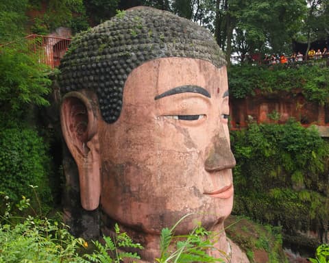 Tour della Cina alla ricerca dei Panda