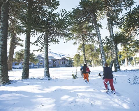 Corralco Resort de Montaña - Naturaleza y bienestar en la Araucanía 