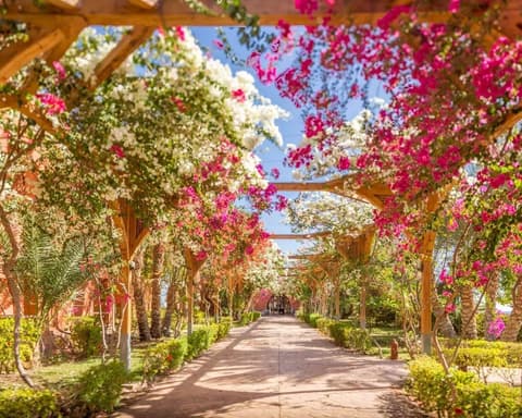 MARSA ALAM: VERACLUB EMERALD LAGOON 