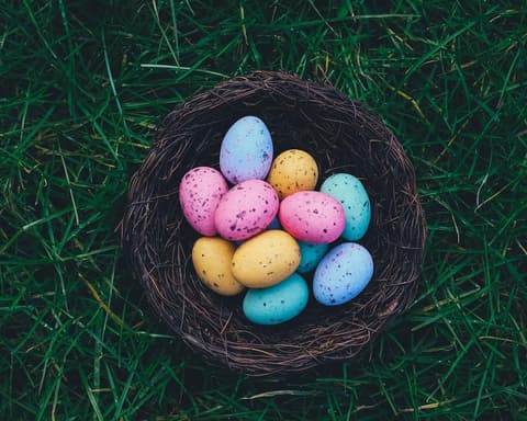 Pácoa na Beira - Mangualde - Hotel Senhora do Castelo 3*