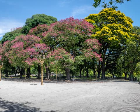 Buenos Aires Promocional 4 días / 3 noches - Hotel 3 *