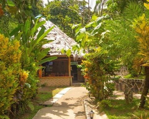 Kurztour "Corcovado & Caño-Insel"